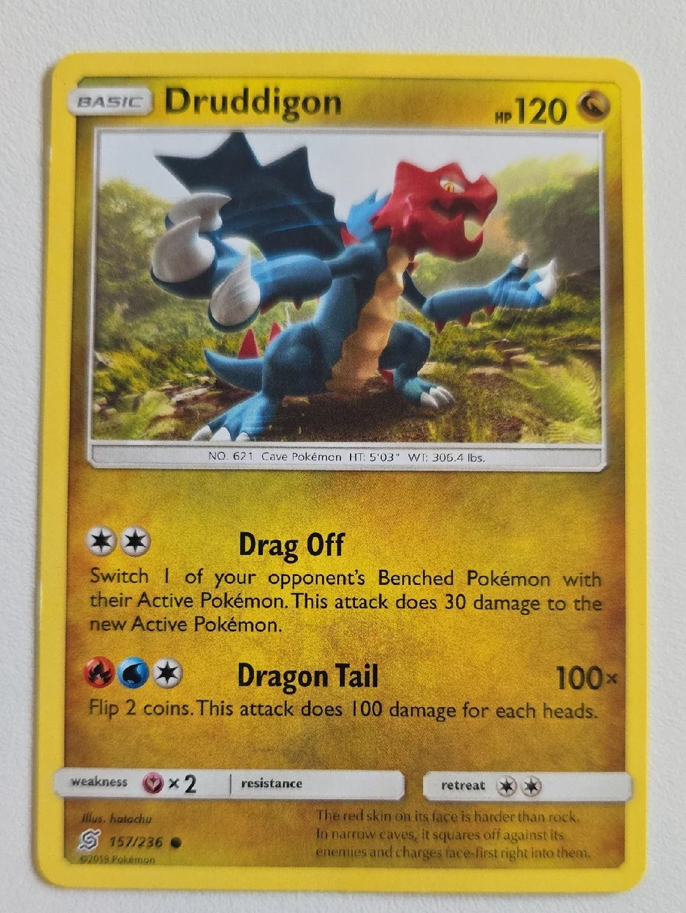 Pokemon Druddigon Cards